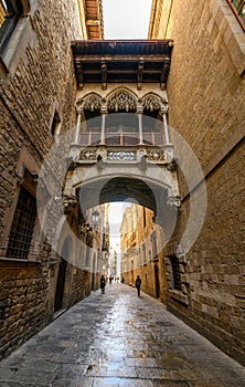 El Pont del Bisbe or BishopÃ¢â¬â¢s Bridge in Barcelona, Spain photo